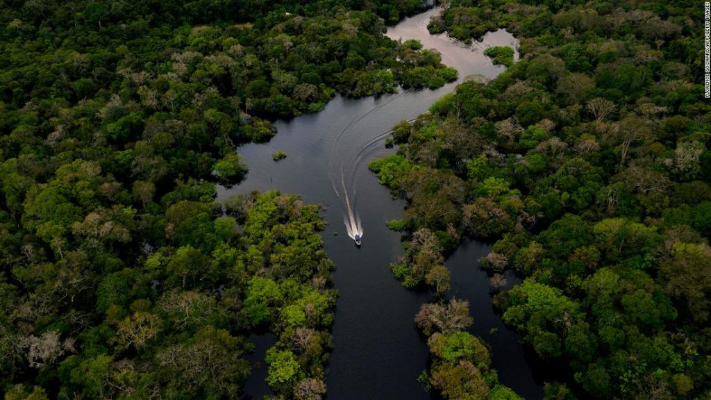 Uit een nieuwe studie blijkt dat het Amazone-regenwoud het omslagpunt nadert van het overschakelen naar een savanne