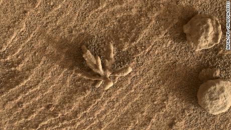 klein & # 39;  bloem & # 39;  Een formatie waargenomen op Mars door de Curiosity rover