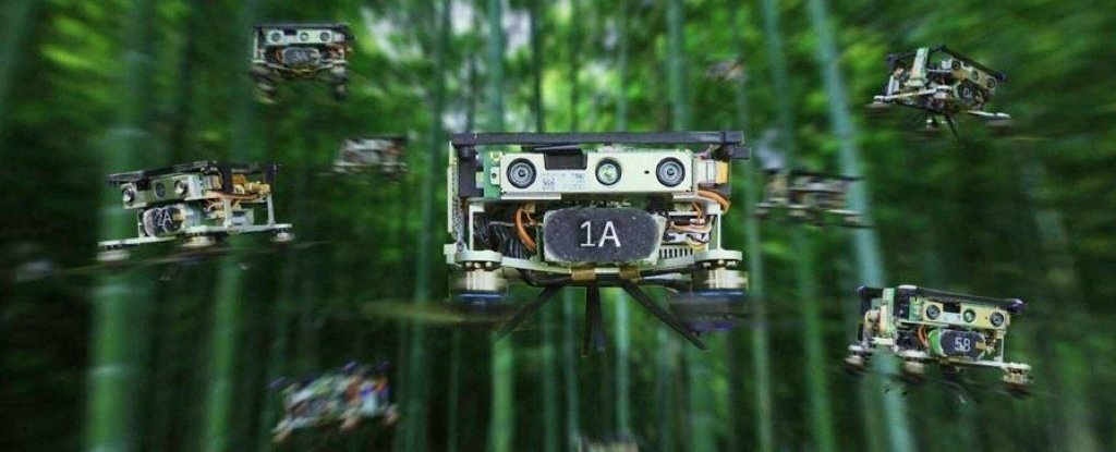 Verbluffende beelden tonen een zwerm drones die met angstaanjagende precisie door een dicht bos navigeert