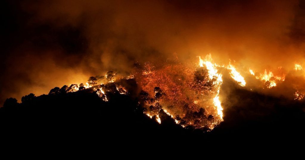 Bosbranden in Zuid-Spanje dwingen stad te evacueren;  Drie pijn