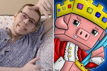 Minecraft YouTuber verdwijnt een jaar na diagnose kanker