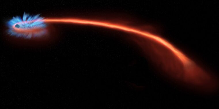 Gepolariseerd licht onthult het uiteindelijke lot van de "Spaghetti"-ster door een zwart gat