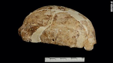 Op de foto is een schedel te zien die is ontdekt in de Red Deer Cave in Yunnan, China. 