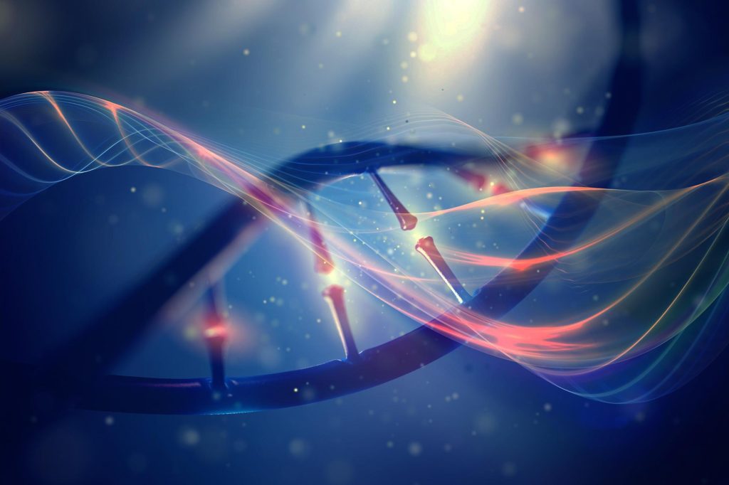DNA Genetics Evolution Artist