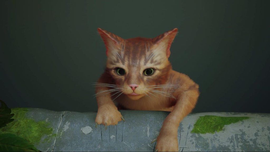 Cat Stray heeft prestatieproblemen met Unreal Engine 4 op pc