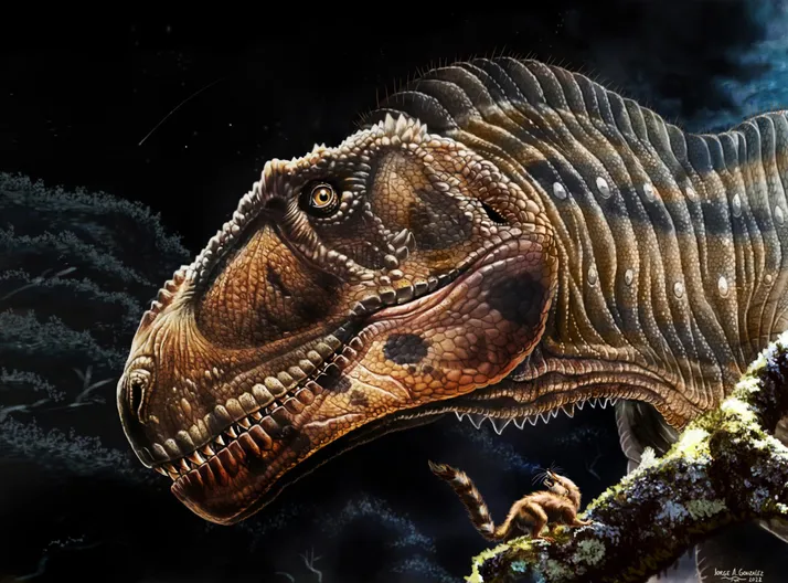 Discover a new giant carnivorous dinosaur with small arms like T. rex