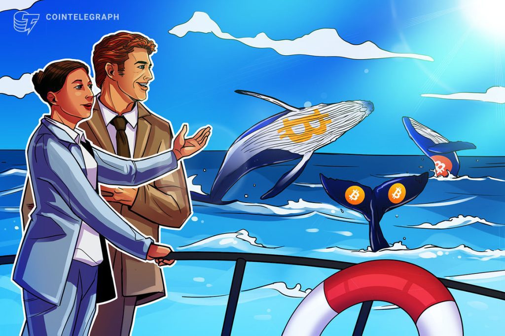 Wat is bitcoin-whale-watching en hoe kun je bitcoin-whale volgen?