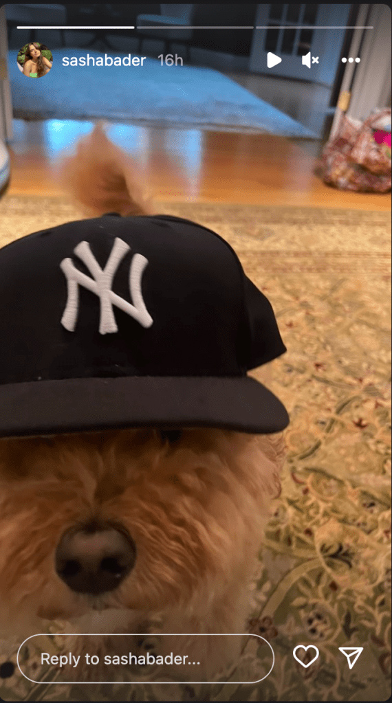 Harrison Bader's zus, Sasha, zette een Yankee-hoed op de familiehond.