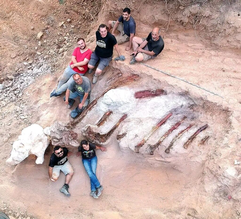 In augustus verzamelden paleontologen ribben van 10 voet.  