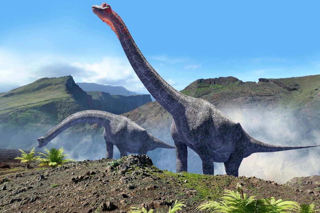 Het skelet behoorde waarschijnlijk toe aan een sauropod-dinosaurus die tussen 160 en 100 miljoen jaar geleden over het grondgebied van het moderne Portugal zwierf. 