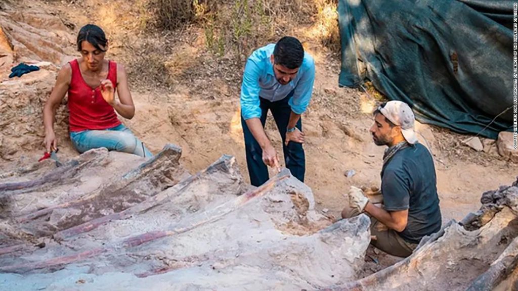 Ontdek een dinosauruskooi in de achtertuin van Portugal