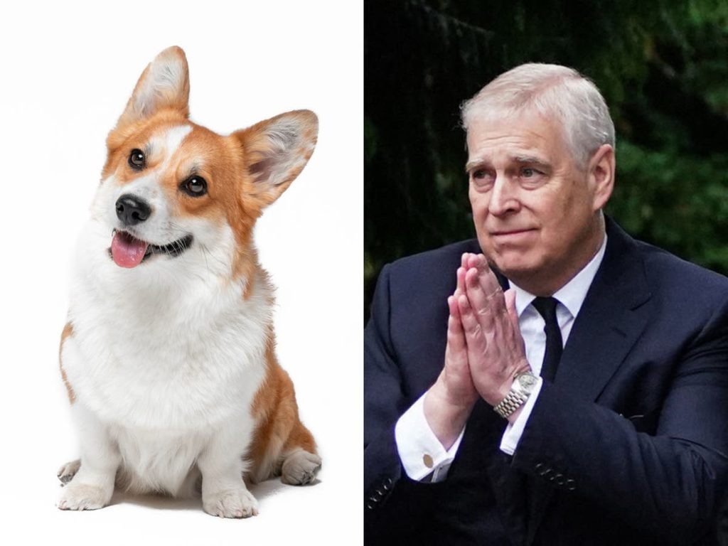 Queens Corgi: Prins Andrew en Sarah Ferguson nemen de koninklijke honden mee