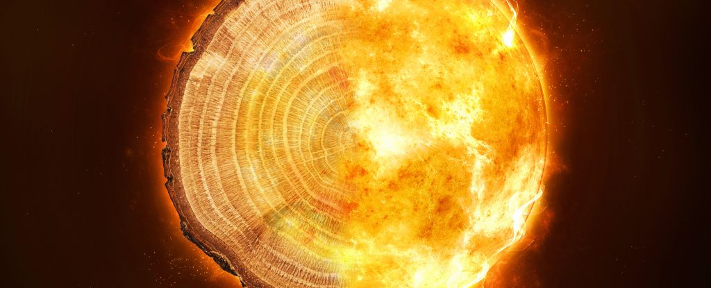 Boomringen beschrijven een mysterieuze kosmische storm die elke duizend jaar toeslaat: ScienceAlert