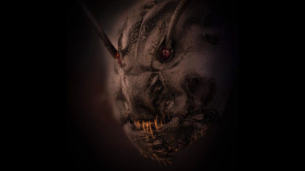 Een angstaanjagende close-up van het gezicht van een mier geeft horrorfilmmonsters een kans om hun geld te krijgen
