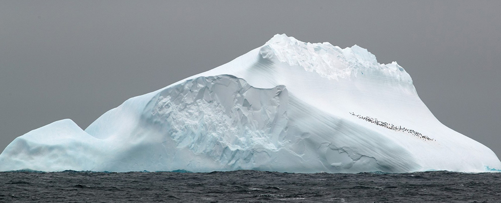 Oud DNA 1 miljoen jaar geleden ontdekt op Antarctica: ScienceAlert