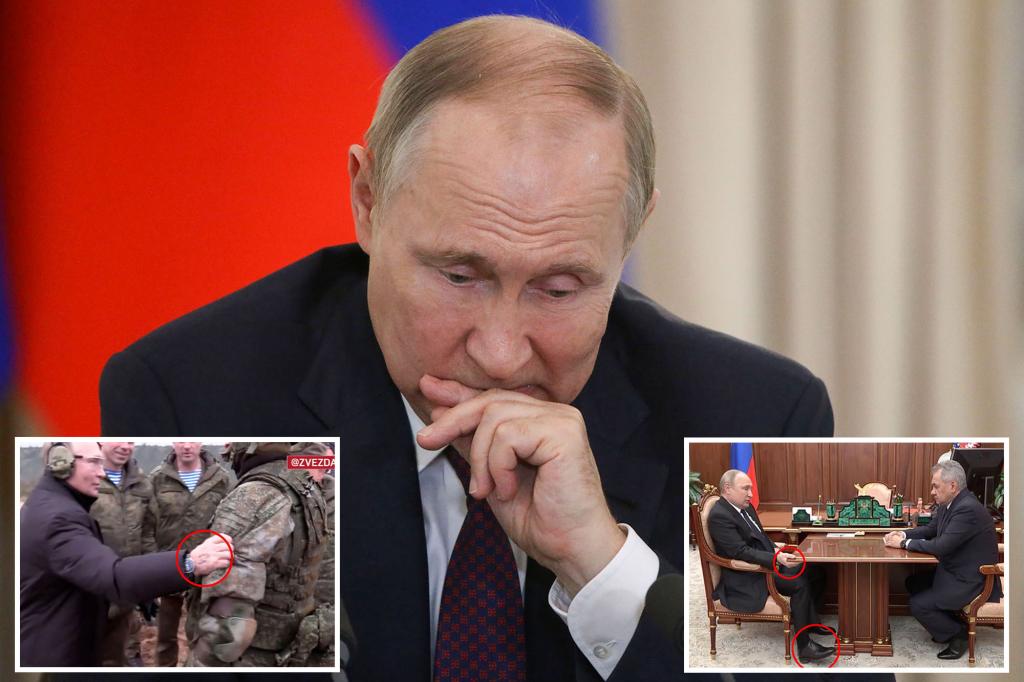 Poetin bestrijdt alvleesklierkanker en de ziekte van Parkinson: rapport
