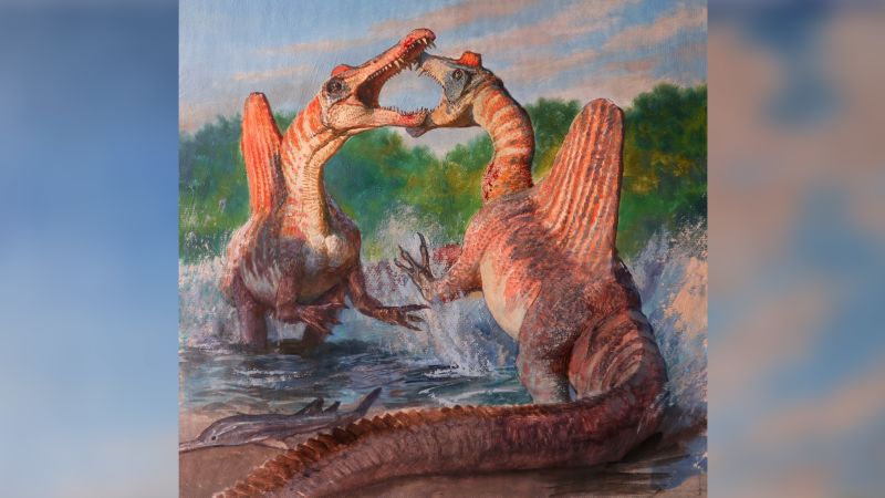 De angstaanjagende Spinosaurus was toch geen prehistorische zeeplaag