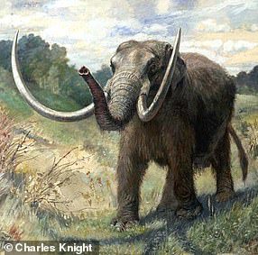 Op de foto: een gereconstrueerde mastodont