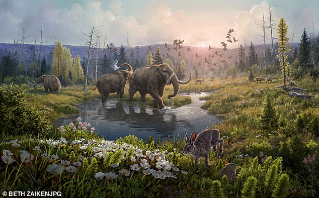 Dankzij het DNA konden experts een prehistorisch ecosysteem in kaart brengen dat bestond uit dieren zoals rendieren, hazen, lemmingen en zelfs een mastodont, vaak beschreven als een harige olifant uit de ijstijd.
