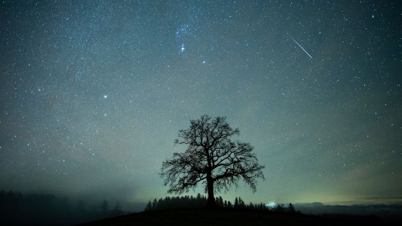 Meteorenregen: Markeer je kalender voor de sterkste kalender voor 2022